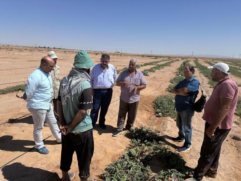 بحوث الصحراء يواصل تقديم الدعم الفني والإرشادي لمزارعي التجمعات الزراعية في سيناء