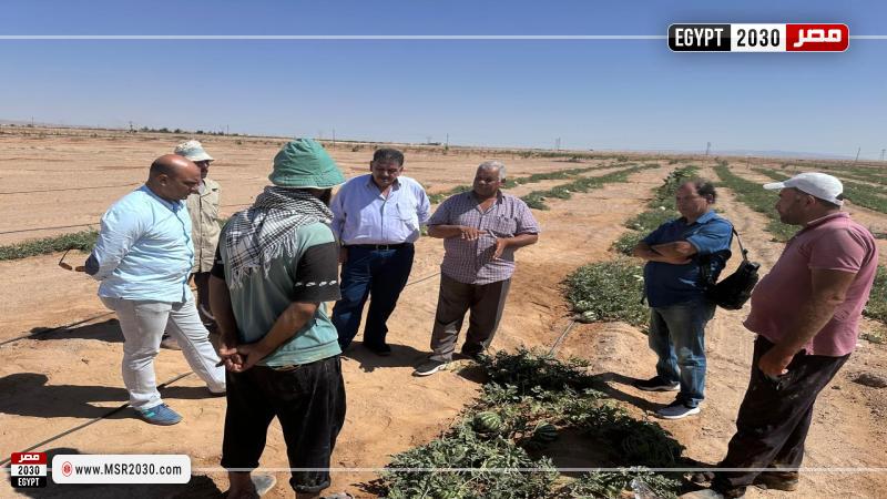 مركز بحوث الصحراء يواصل تقديم الدعم الفني والإرشادي لمزارعي التجمعات الزراعية في سيناء