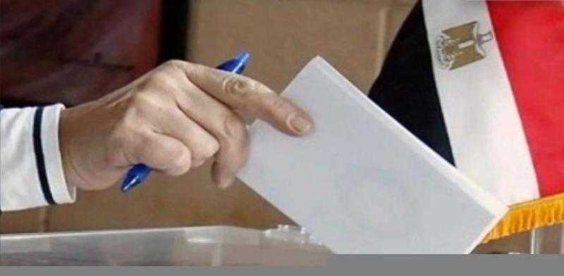 مرشحان يتنافسان على مقعد واحد بالغربية في جولة الإعادة لانتخابات الشيوخ
