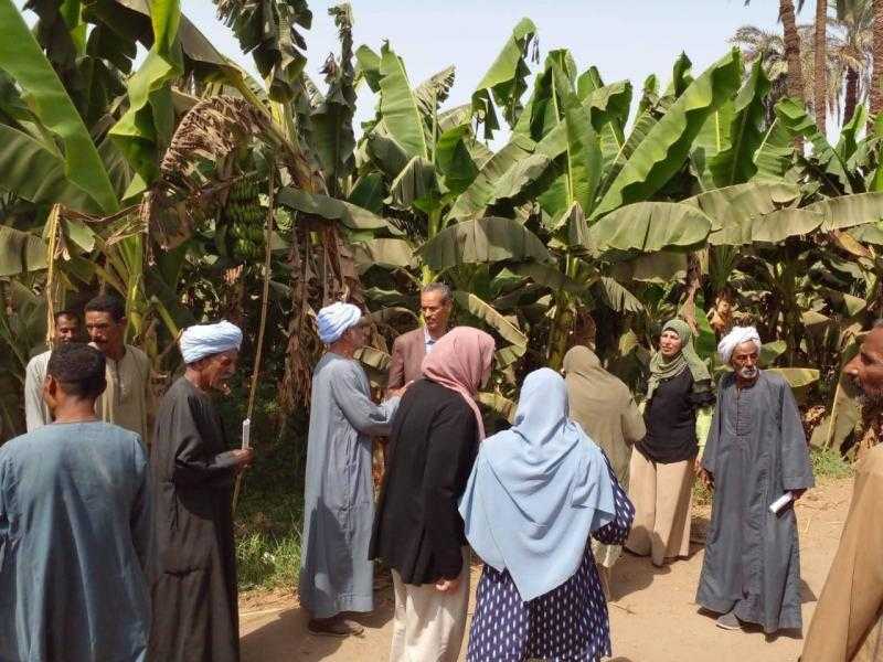 البحوث الزراعية يكثف جهود الاستفادة من المخلفات الزراعية بـ 44 ندوة إرشادية في 16 محافظة خلال اسبوع