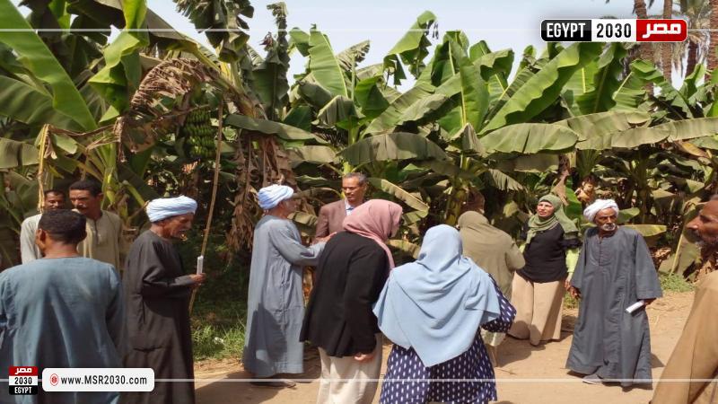 مركز البحوث الزراعية 