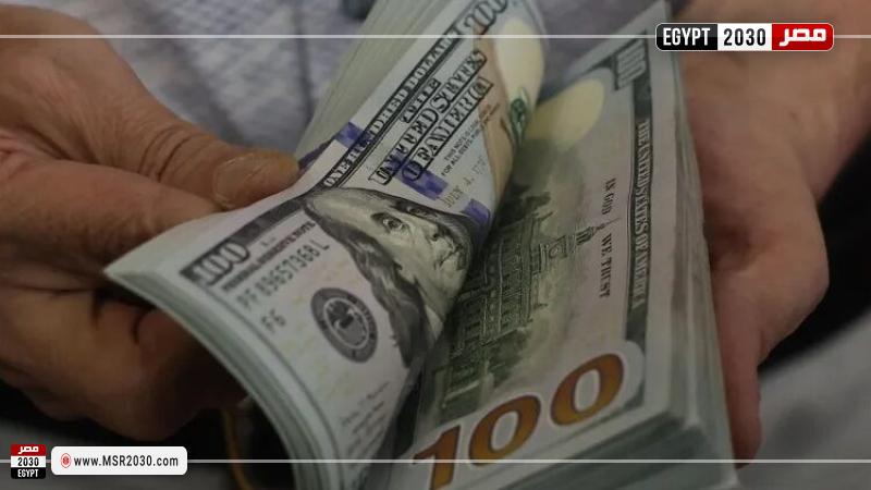 تحويلات المصريين العاملين بالخارج
