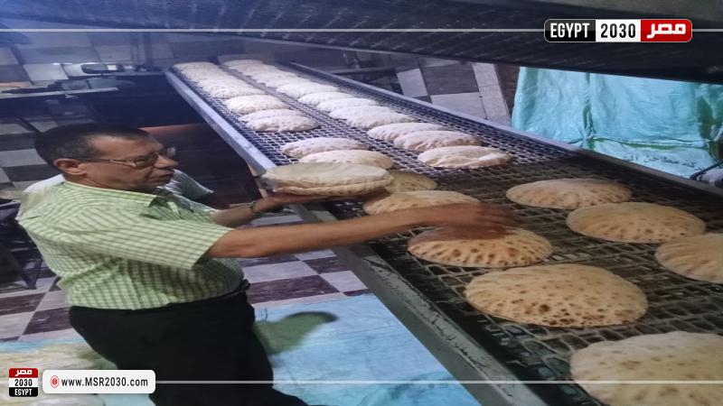 محافظة كفرالشيخ 