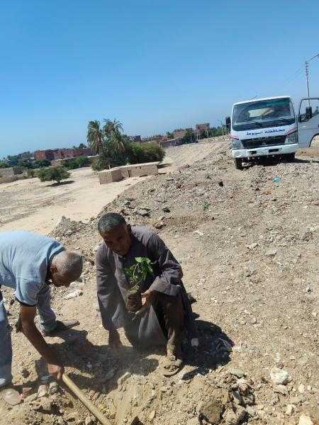 محافظ أسيوط: استمرار أعمال التشجير وزراعة الشتلات بمركز البداري في إطار مبادرة ”100 مليون شجرة”