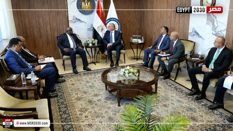 وزير البترول والثروة المعدنية
