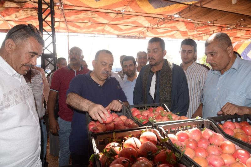 محافظ الأقصر 