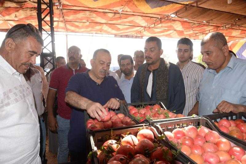 محافظ أسيوط يتفقد مواقع تجهيز وتصدير الذهب الأحمر بقرية بويط بساحل سليم