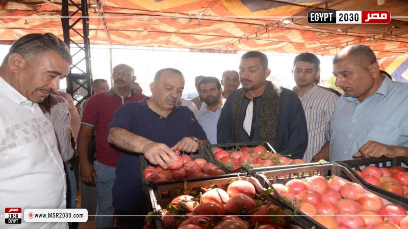 محافظ الأقصر