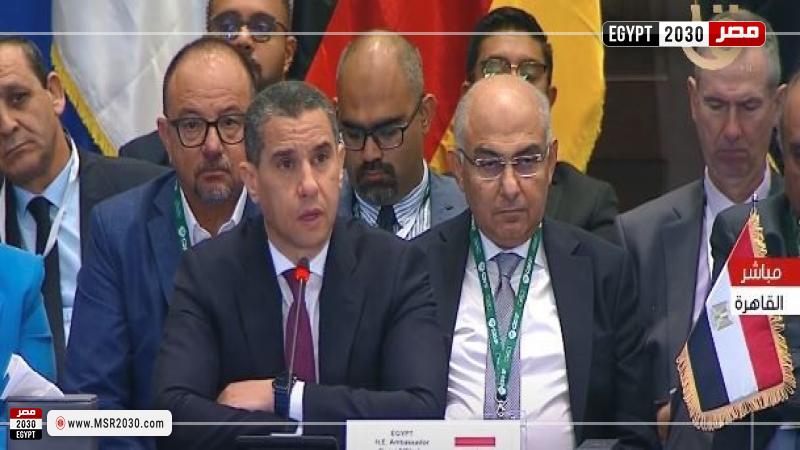 الممثل الشخصي لرئيس الجمهورية لدى مجموعة العشرين