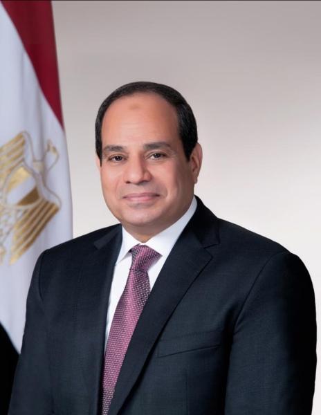 رئيس الجمهورية 