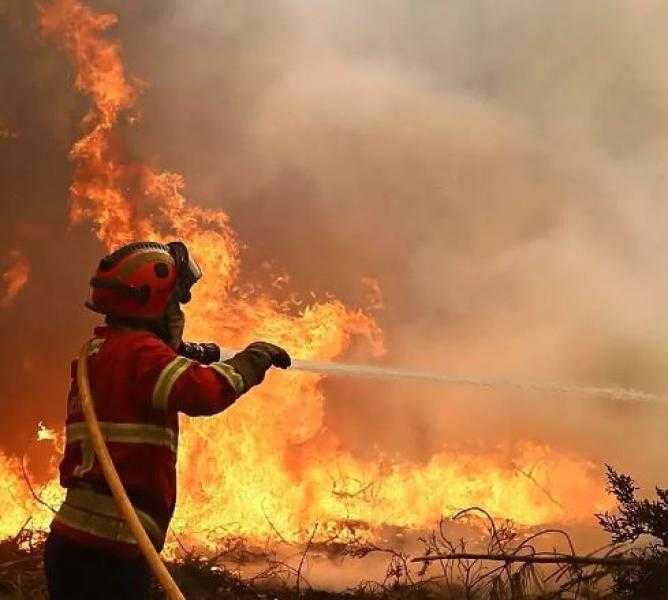 مراهق برتغالي يشعل حرائق غابات عمدًا بسبب إحباطه من نتائج دراسته