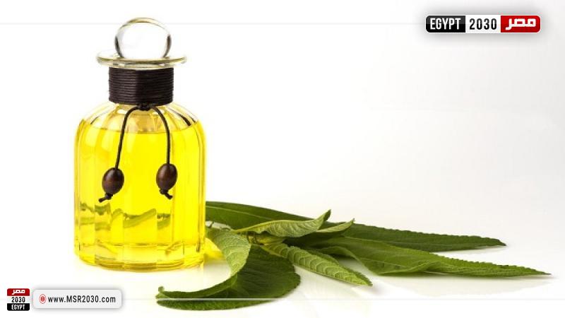 زيت الكافور