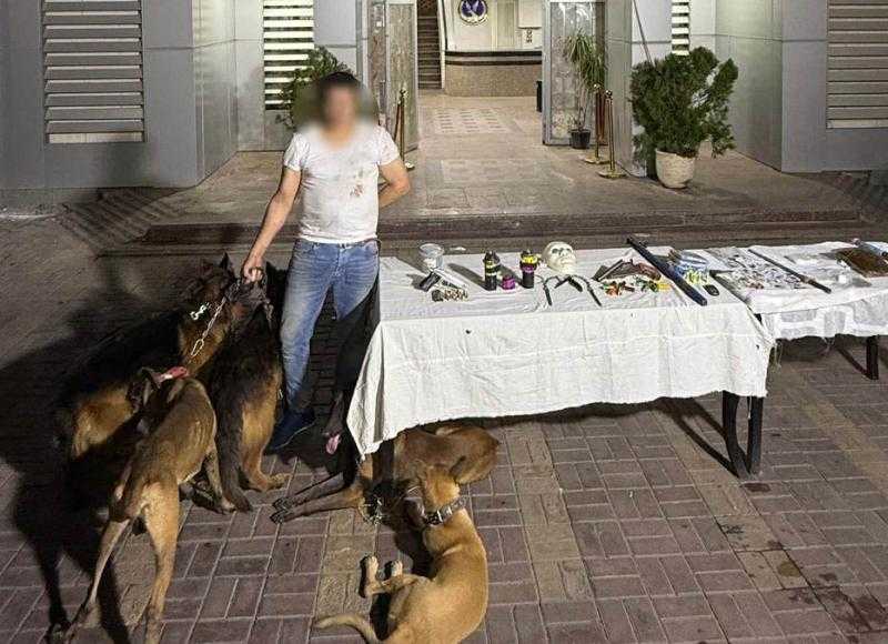 ضبط عاطل بمدينة نصر للبلطجة والإتجار بالمخدرات مستخدما كلابًا شرسة
