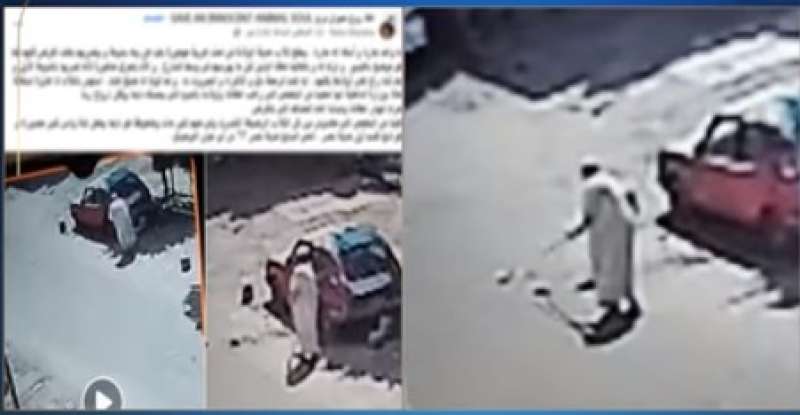 فيديو الاعتداء على كلاب  بمدينة نصر