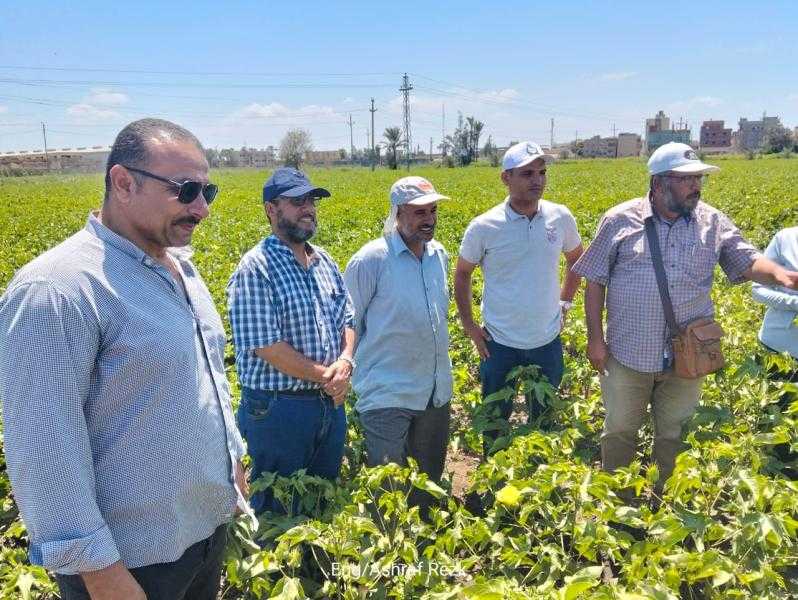 المركزية للإرشاد الزراعي تشرف على تنفيذ أكثر من 1800 ندوة ارشادية ولقاء توعوي للمزارعين خلال أغسطس