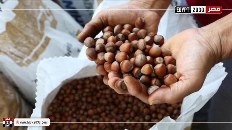 البندق