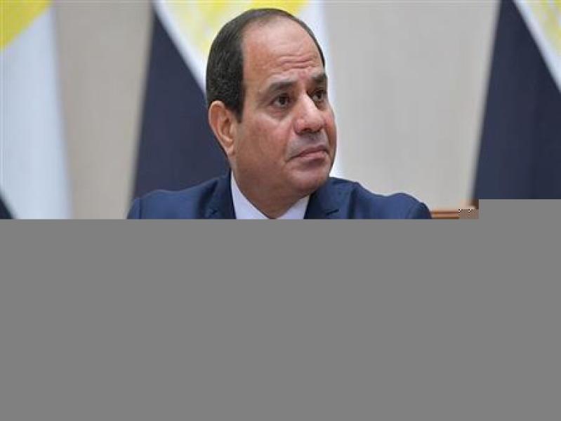 الرئيس السيسى