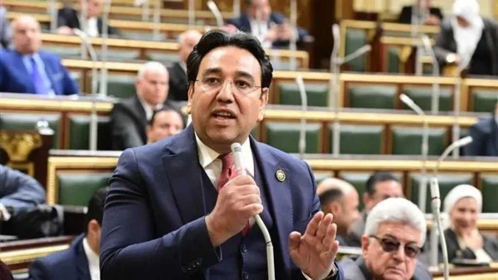 برلماني يطالب بخطة عاجلة لتعزيز كفاءة الكهرباء ودعم الاستثمار الأخضر