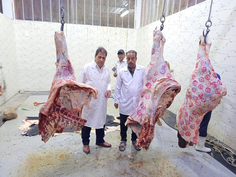 مدير مديرية الطب البيطري بالأقصر