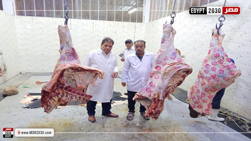 مدير مديرية الطب البيطري بالأقصر