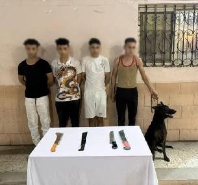 الأمن يكشف ملابسات مشاجرة بالجيزة استخدم خلالها كلب وأسلحة بيضاء