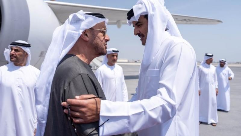 أمير قطر ورئيس الإمارات