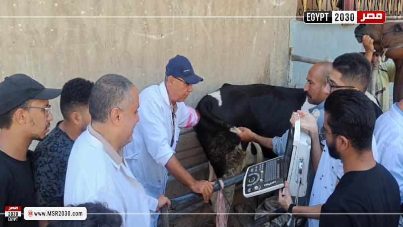وزارة الزراعة 