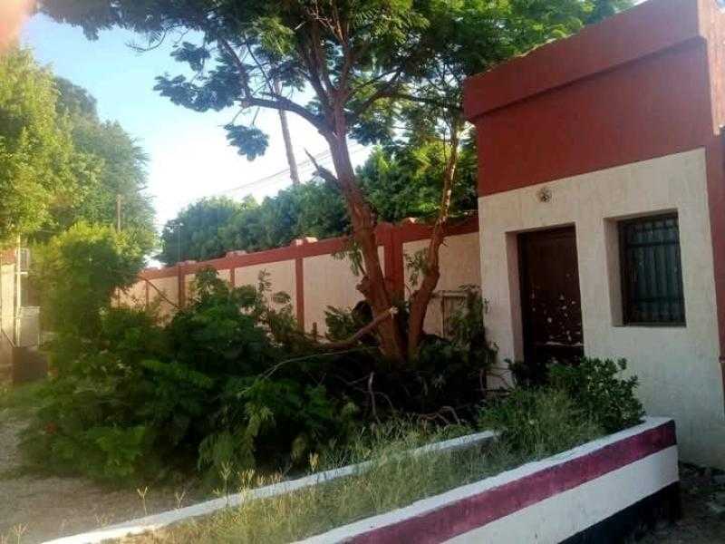 تكثيف حملات النظافة وتهذيب الأشجار حول مدارس أرمنت استعدادًا للعام الدراسي الجديد