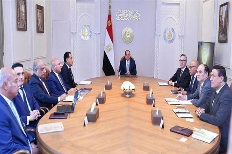 خلال لقائه بالسيسي.. الرئيس التنفيذي لشركة ”سكاتك” يستعرض موقف التعاون مع الحكومة المصرية