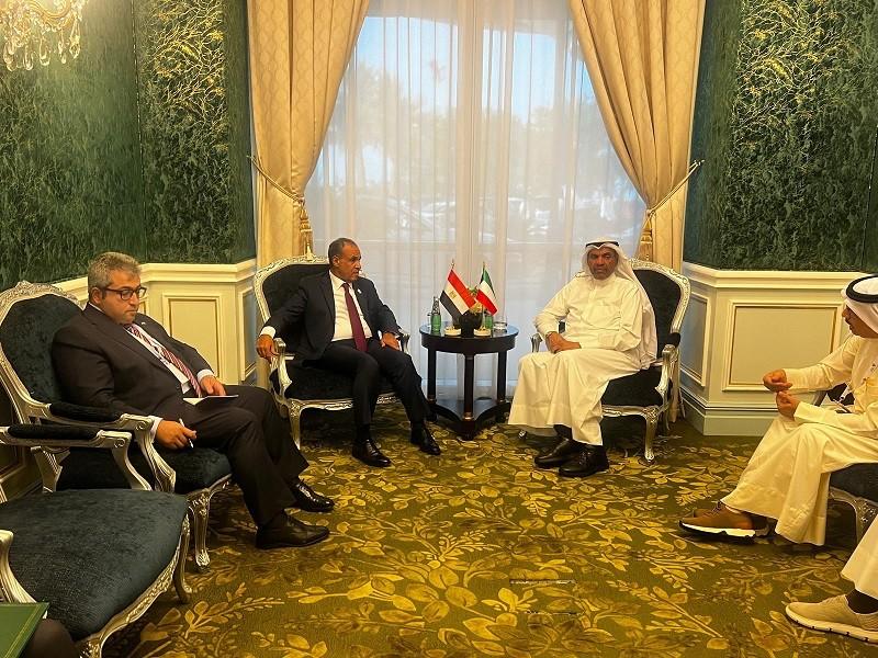 وزيرا خارجية مصر والكويت يشددان رفضهما لأي اعتداء على سيادة الدول العربية