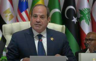 الرئيس السيسي: لن نقبل بالاعتداء على سيادة دولنا.. وسنقف صفًا واحدًا دفاعًا عن حقوقنا