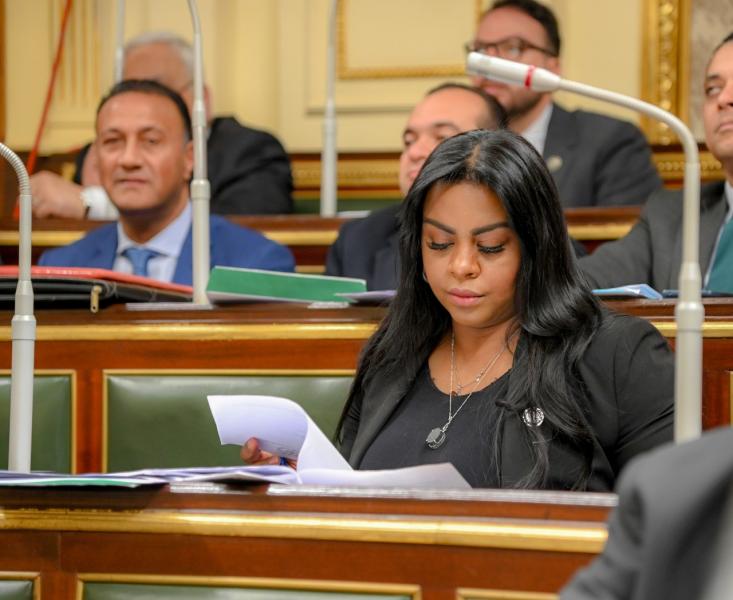 النائبة نيفين حمدي: كلمة الرئيس السيسي بـ«قمة الدوحة» عبرت عن الموقف المصري الداعم للأشقاء في مواجهة العدوان