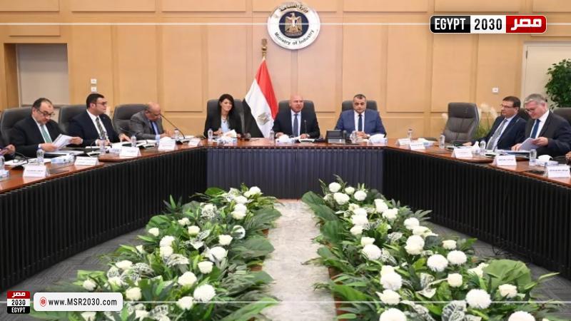 المجموعة الوزارية للتنمية الصناعية 