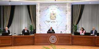 مدبولي يستقبل نائب رئيس الوزراء الروسي ويبحث معه فرص التعاون المشترك
