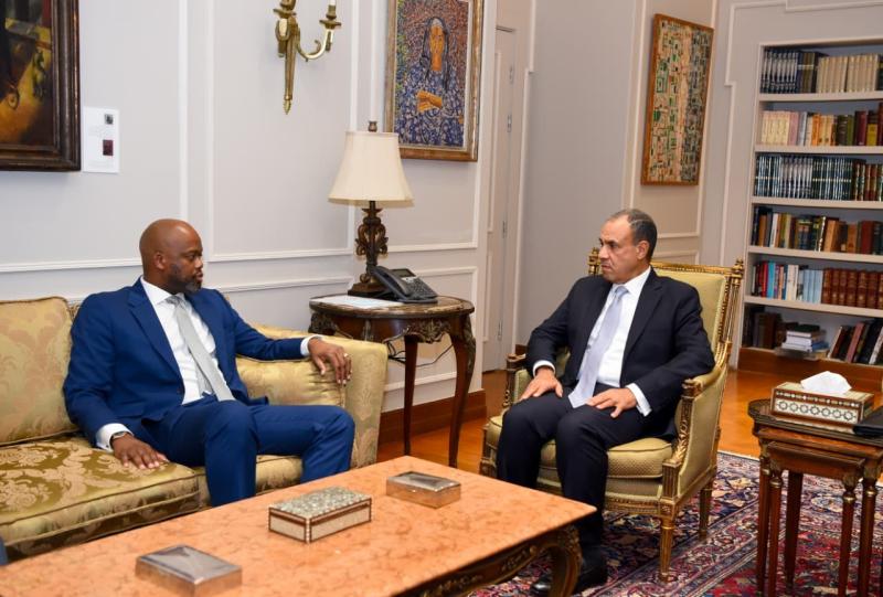 وزير الخارجية: هناك فرص كبيرة لزيادة حجم التجارة البينية الإفريقية