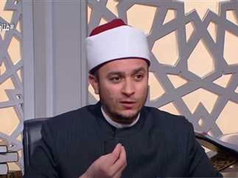 الدكتور محمود شلبي 