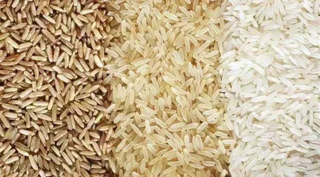 سعر الأرز الشعير اليوم الإثنين عند التاجر.. الطن وصل لكام