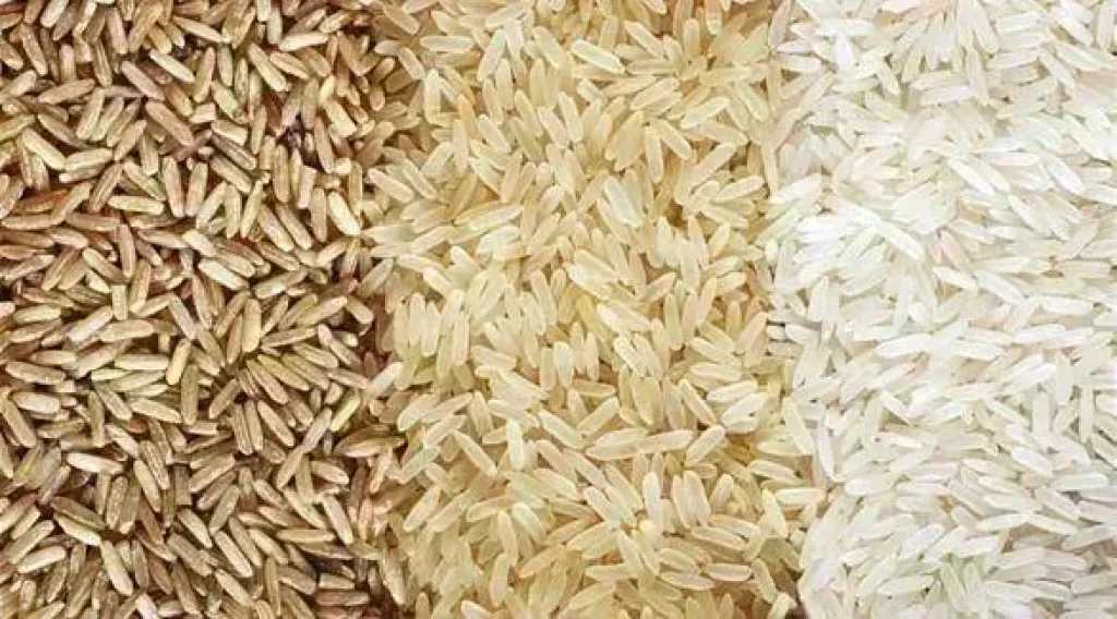 سعر الأرز الشعير اليوم الخميس عند التاجر.. الطن وصل لكام