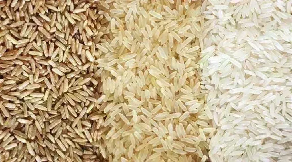 سعر الأرز الشعير اليوم