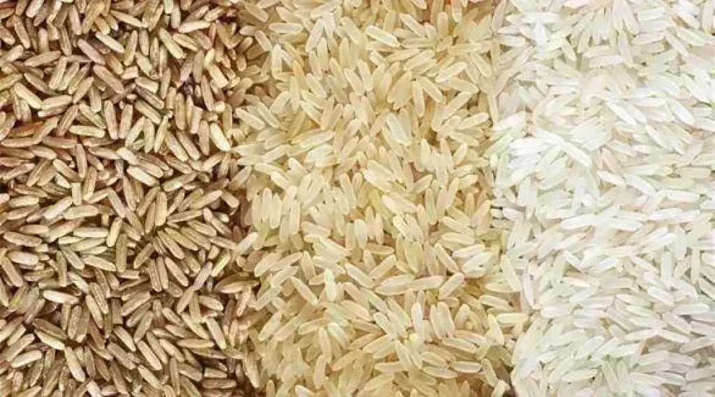 سعر الأرز الشعير اليوم الثلاثاء عند التاجر.. الطن وصل لكام