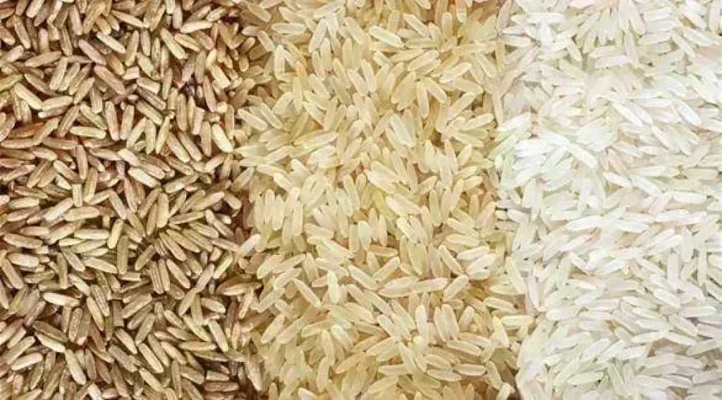 سعر الأرز الشعير اليوم الإثنين عند التاجر.. الطن وصل لكام