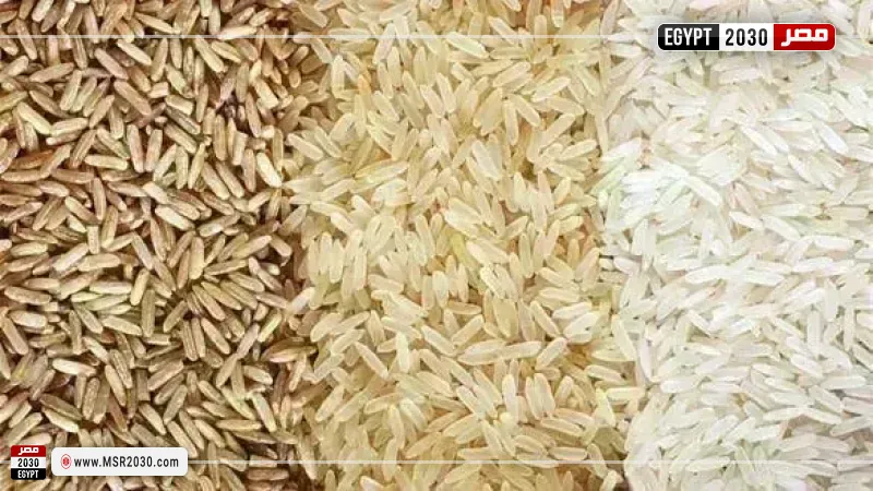 سعر الأرز الشعير اليوم