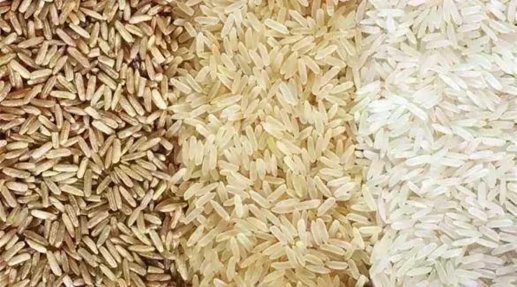 سعر الأرز الشعير اليوم الثلاثاء عند التاجر.. الطن وصل لكام