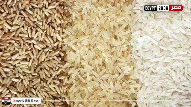 سعر الأرز الشعير اليوم