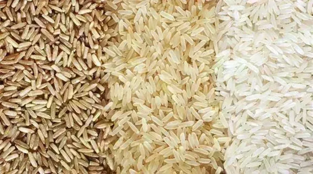سعر الأرز الشعير اليوم