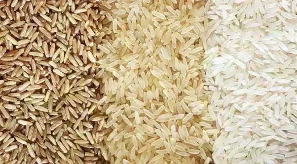 سعر الأرز الشعير اليوم الخميس عند التاجر.. الطن وصل لكام