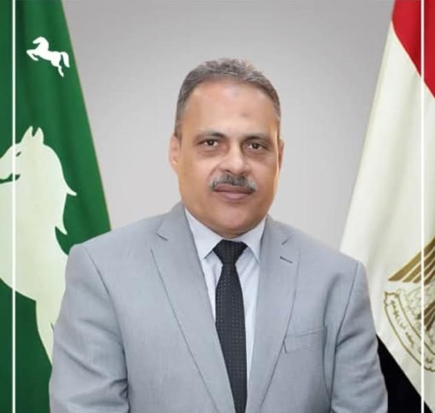 محافظ الشرقية 