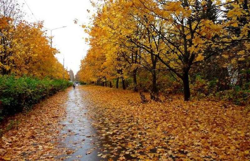 غدا يبدأ فصل الخريف .. الأرصاد تحذر من تقلبات جوية متوقعة