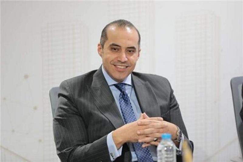 المستشار محمود فوزي