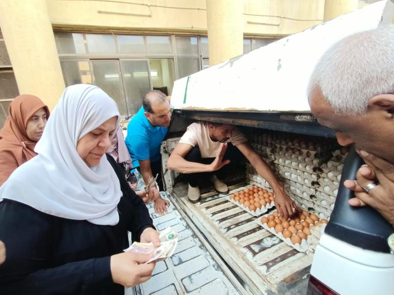 ”الزراعة” تطلق 6 منافذ متنقلة لبيع بيض المائدة بأسعار مخفضة في ميادين القاهرة والجيزة
